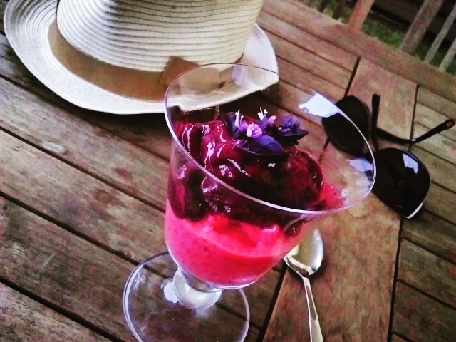 Strawberry and blueberry sorbet / Jagodni in borovničev sorbet